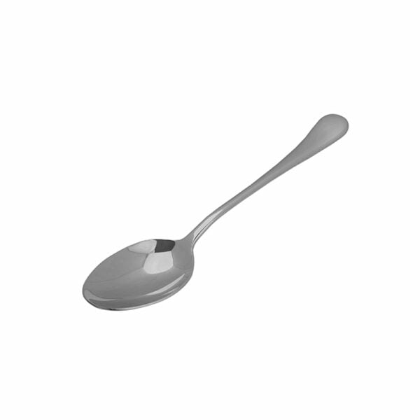 Equinox Royal Serving Spoon