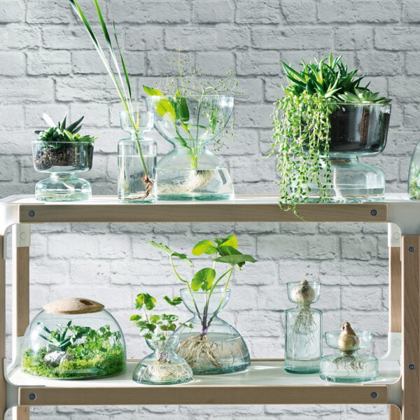 LSA Canopy Closed Garden H16.5Cm Clear/Cork - Image 5